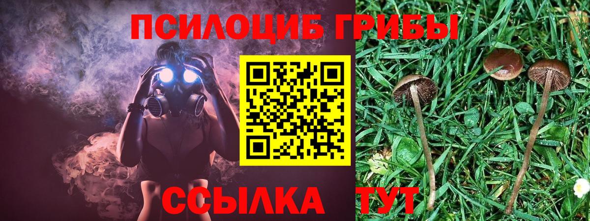 Псилоцибиновые грибы мицелий Когалым