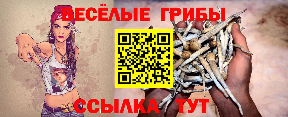 Псилоцибиновые грибы мицелий  Вход с VPN  Когалым  Галлюциногенные грибы Psilocybine cubensis 